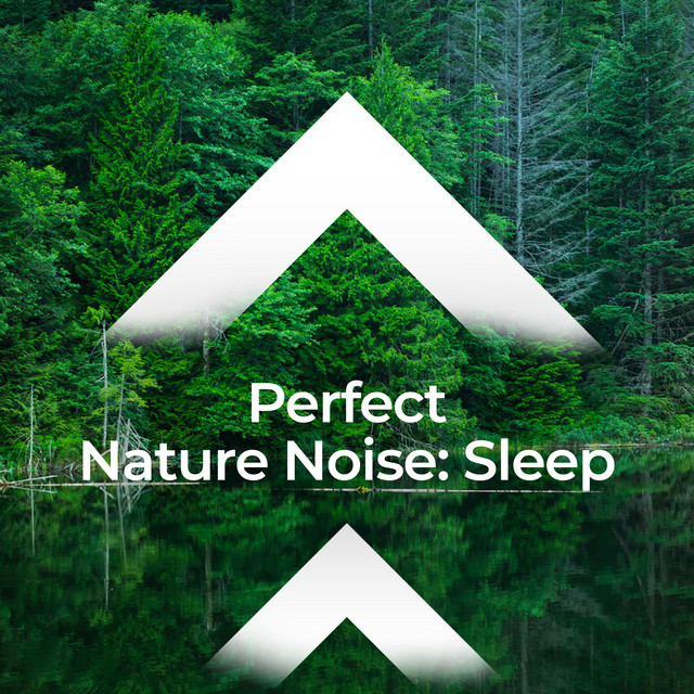 Perfect Nature Noise: Sleep - Album by Relaxing Music Therapy | Spotify