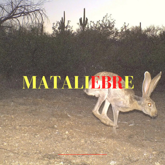 Mataliebre cover art