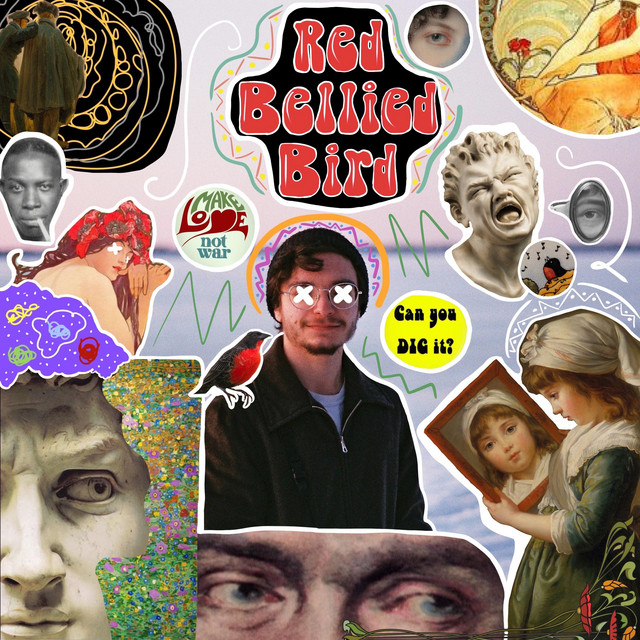 Red Bellied Bird cover art