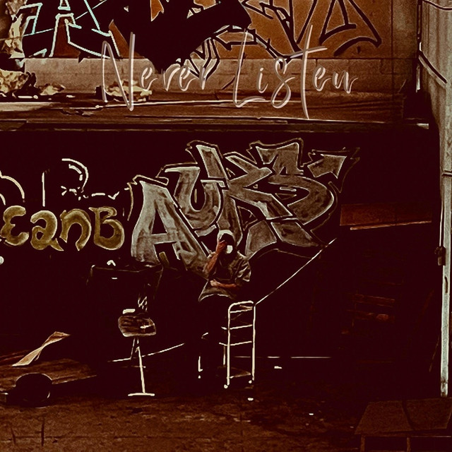 Never Listen cover art