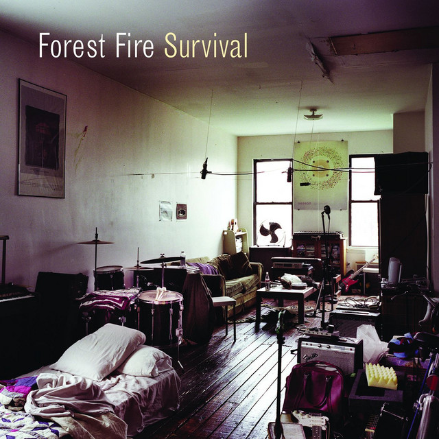 Survival cover art