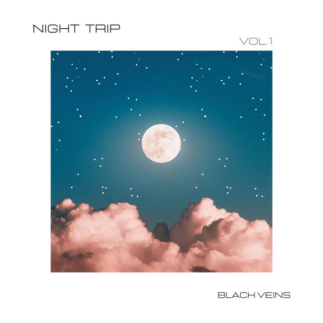 Night Trip cover