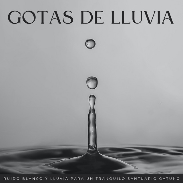 Gotas De Lluvia: Ruido Blanco Y Lluvia Para Un Tranquilo Santuario Gatuno cover art