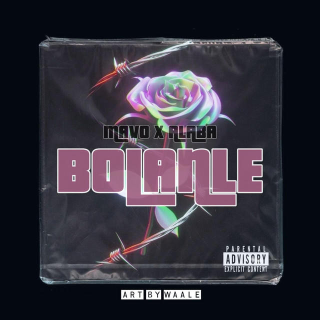 Bolanle cover art