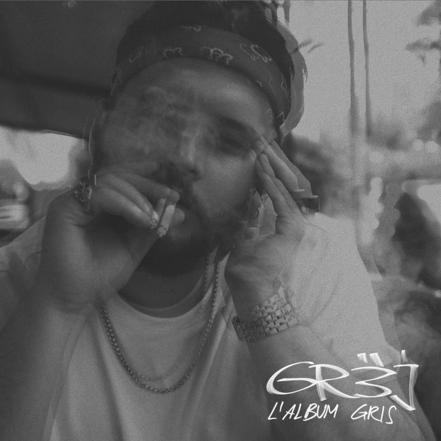 L'album gris cover art