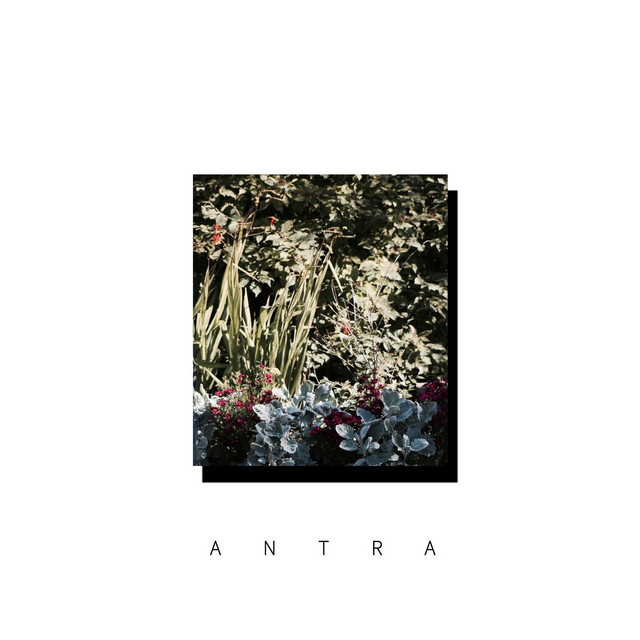 Down cover art
