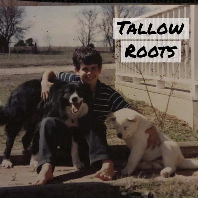 Tallow Roots