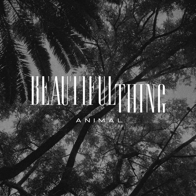 Animal cover