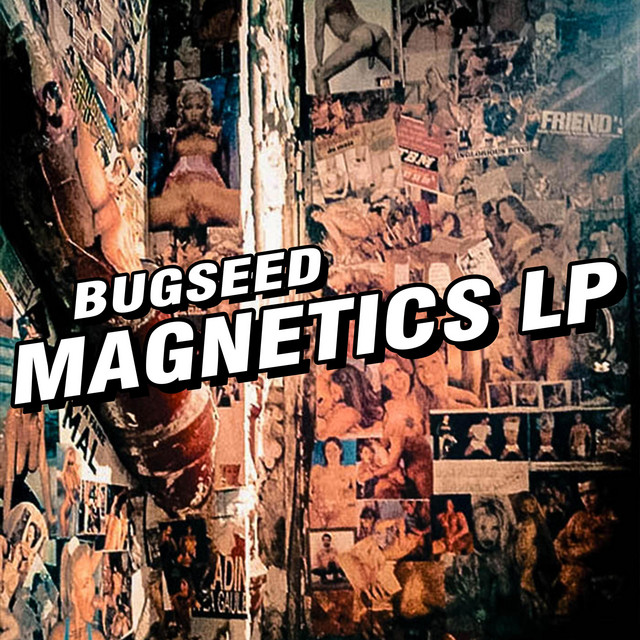 Magnetics cover art