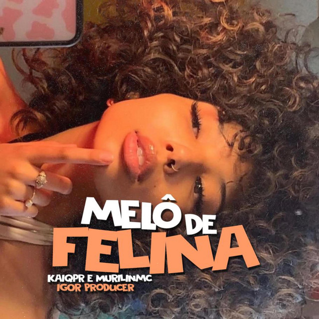 Melô de Felina - Reggae Remix