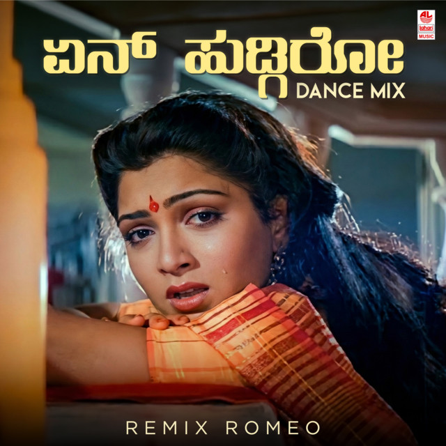En Hudgiro - Dance Mix album image