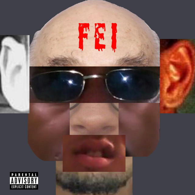 Fei cover art