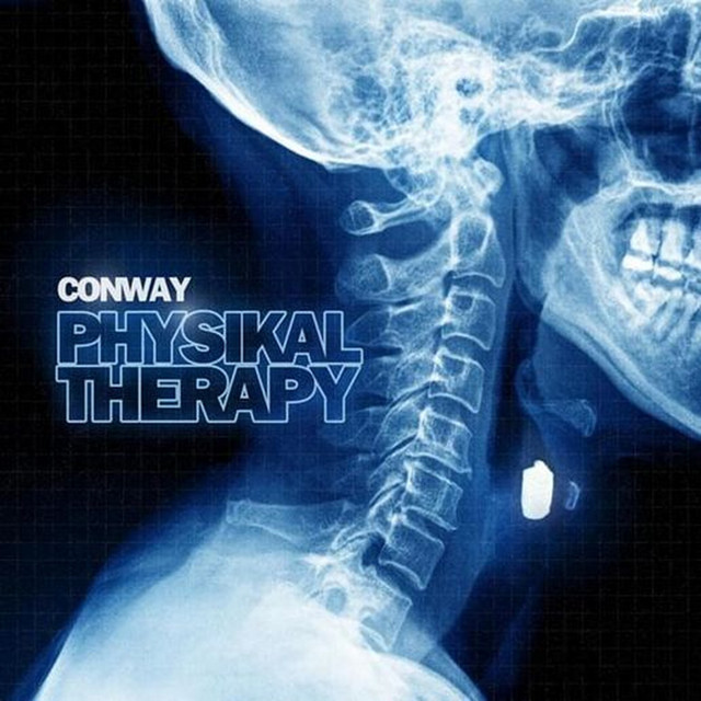 Physikal Therapy cover art