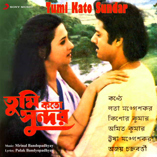 Bhor Holo Bibhabori cover art