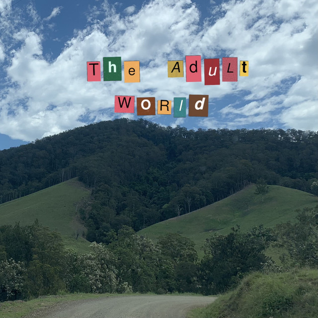 The Adult World cover art