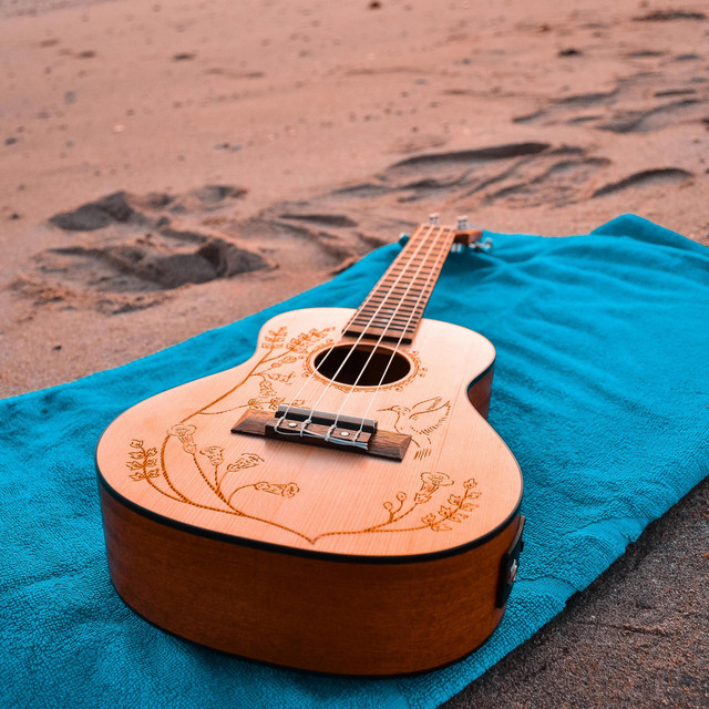 Acoustic Guitar Songs cover art