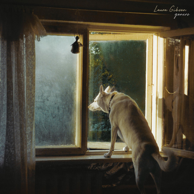 Slow Joke Grin cover art