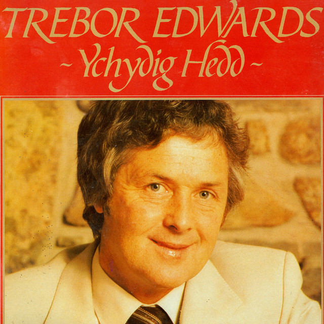Ychydig Hedd cover