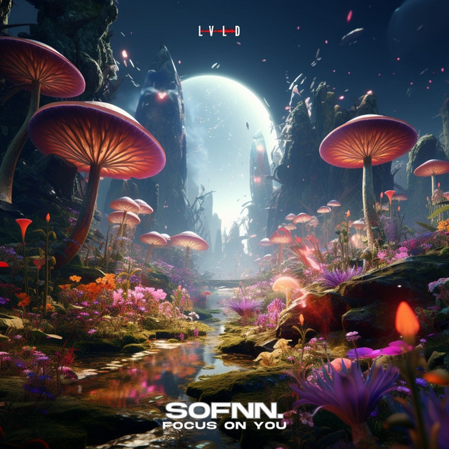 Sofnn. cover art