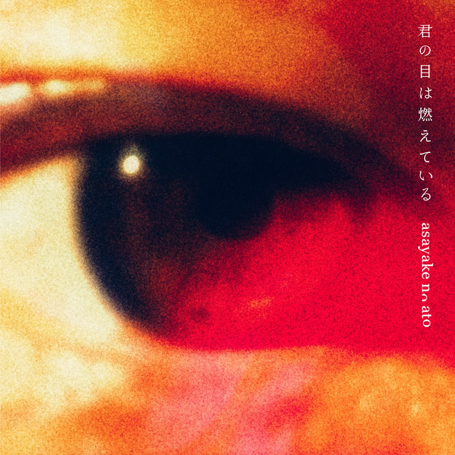 君の目は燃えている cover art