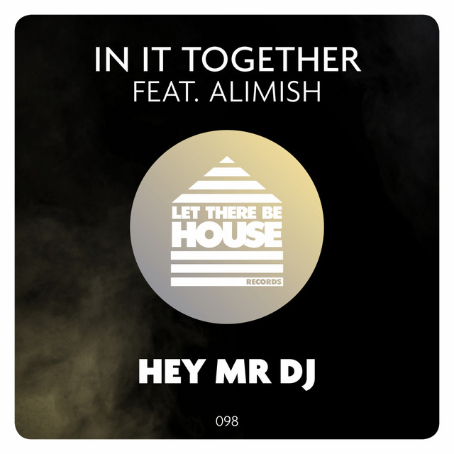 Hey Mr DJ album art