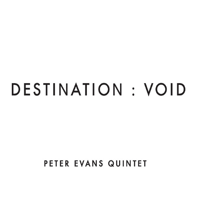 Destination: Void cover
