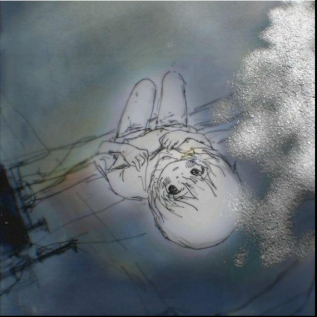 divided cover art