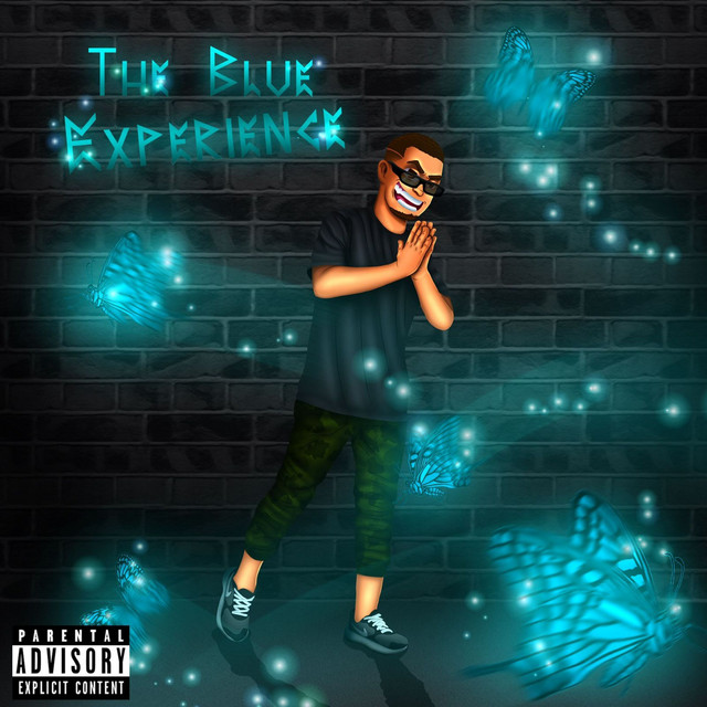 The Blue Experience cover art