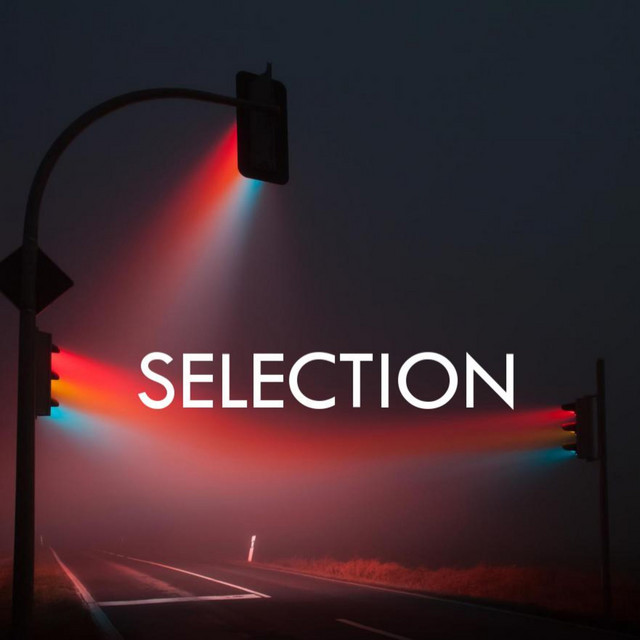 Selection cover art