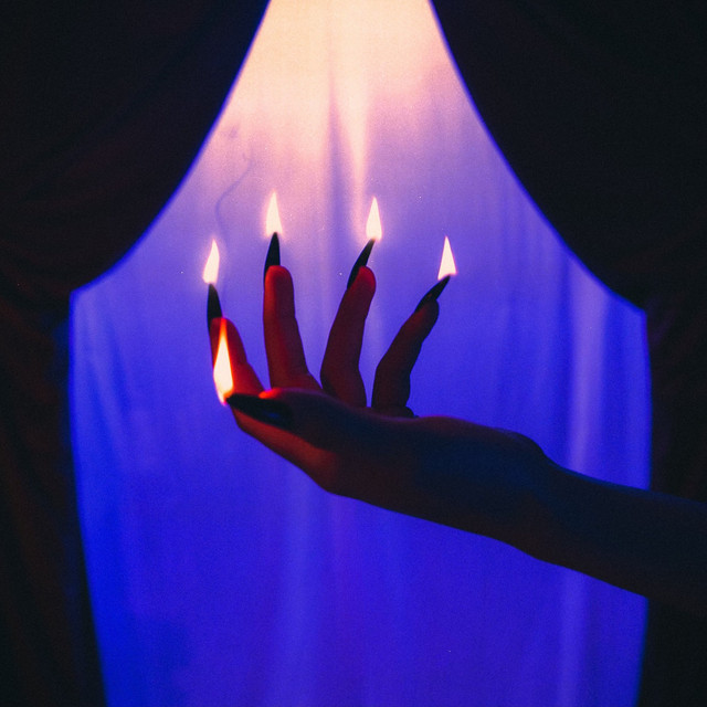 Shreea Kaul - Burn It to the Ground