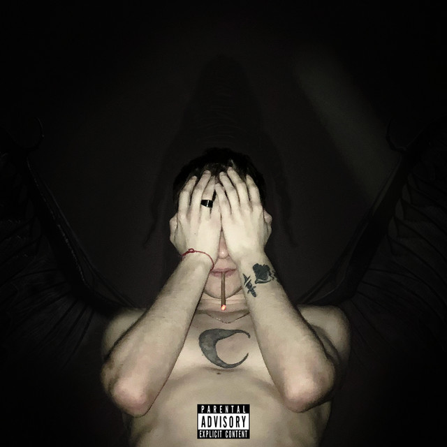 ANO DO DRAGÃO cover art