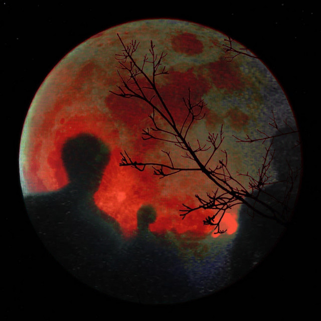 Lost My Sight To The Moon cover art