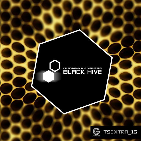 Techsound Extra 16: Black Hive cover art