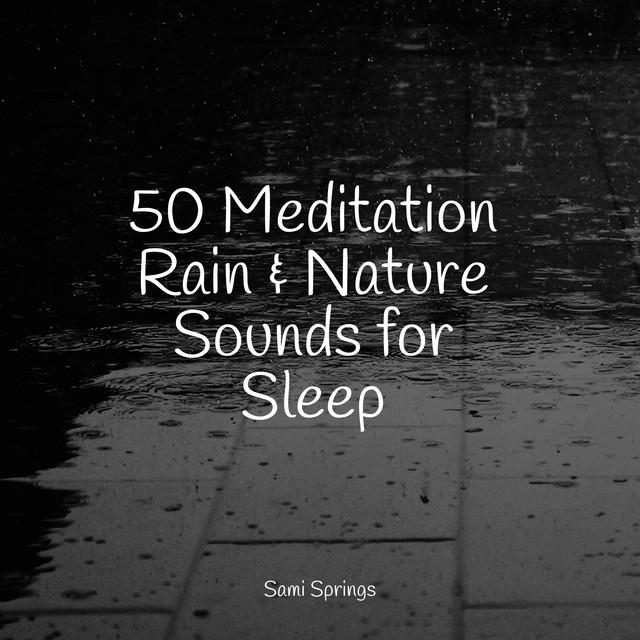 50 Meditation Rain & Nature Sounds for Sleep - Album by Rain Sounds ...