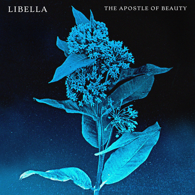 The Apostle Of Beauty cover art