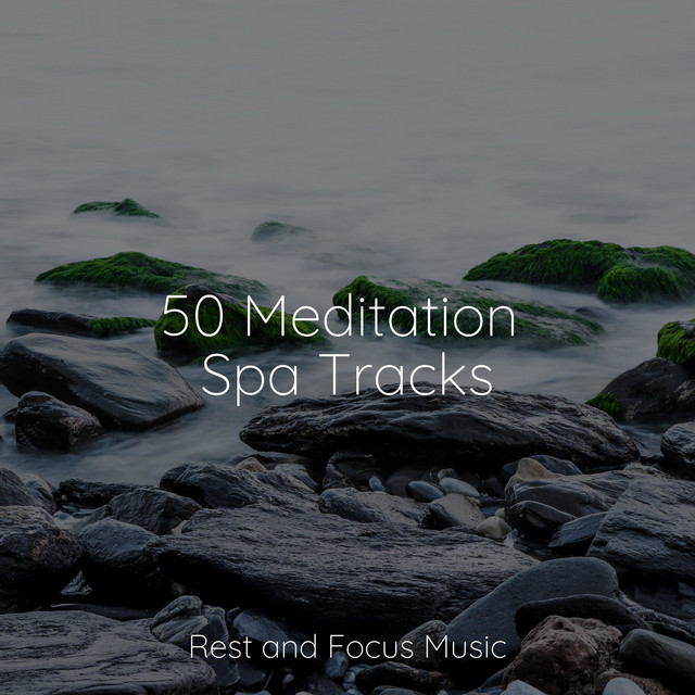 50 Meditation Spa Tracks - Album by Calm Shores | Spotify