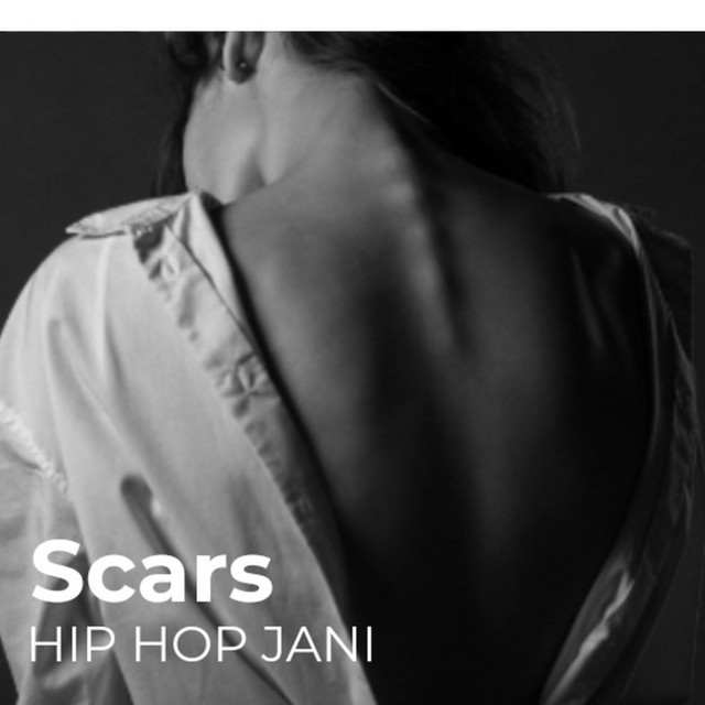 Scars - Single by Hip Hop Jani | Spotify