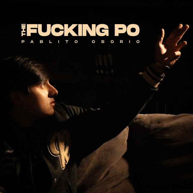 The Fucking PO cover art