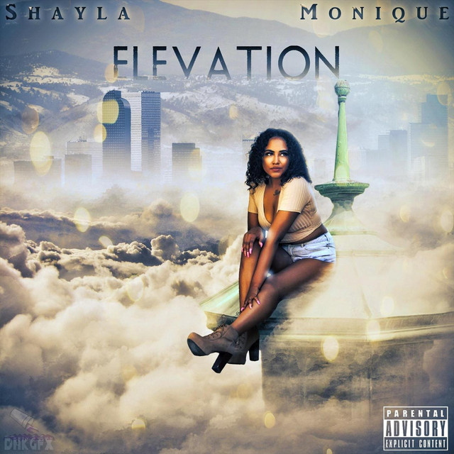 Elevation cover art