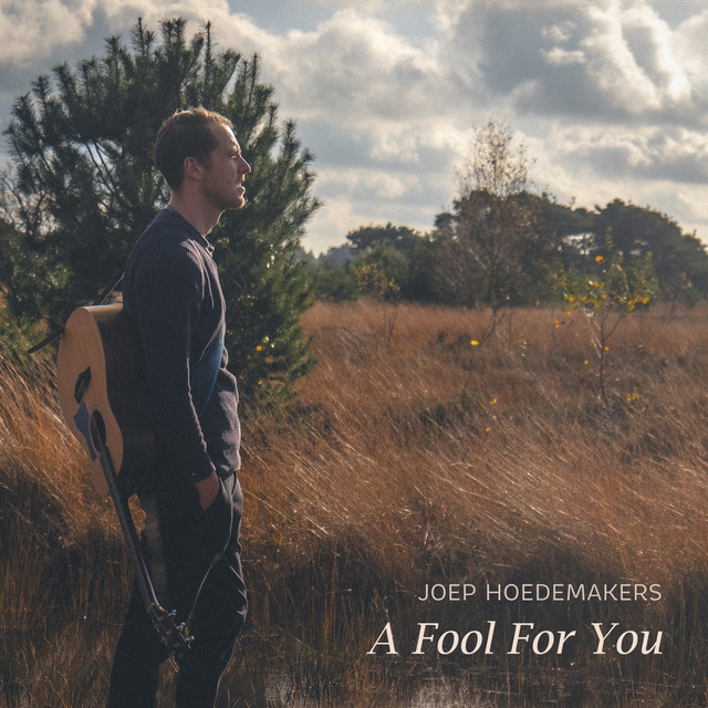 A Fool For You - Single by Joep Hoedemakers | Spotify