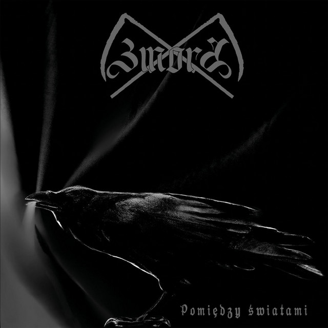 Pomiędzy światami cover art