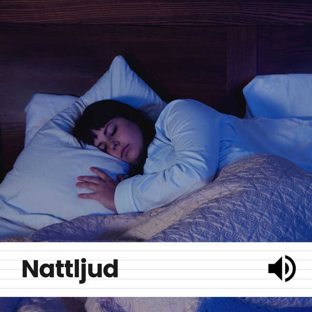 Nattljud