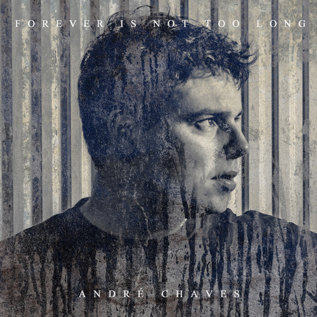 Forever Is Not Too Long cover art