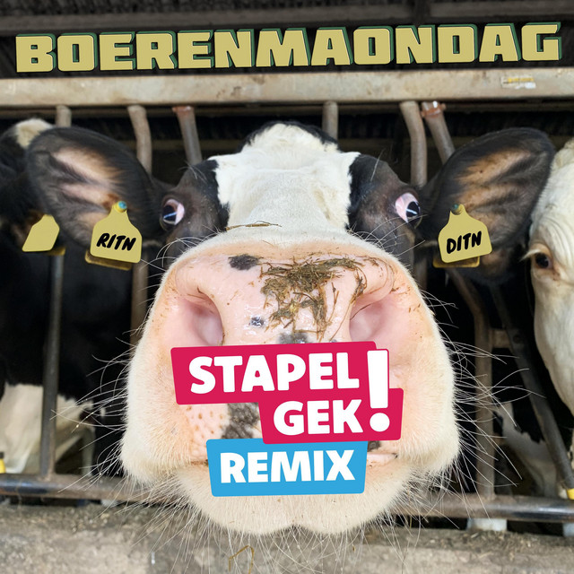 Boerenmaondag (Stapelgek Remix) cover