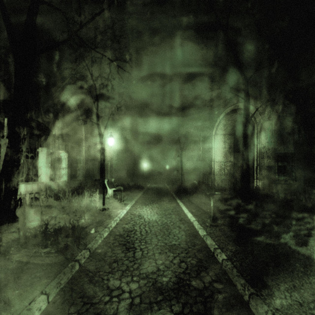 Trail of Decay cover art