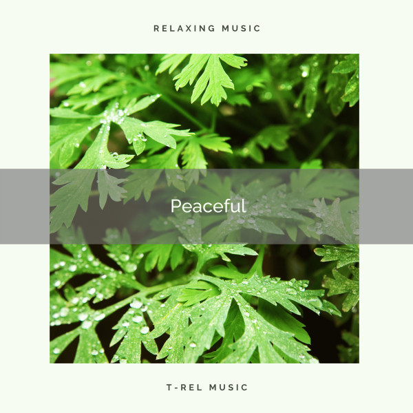 Peaceful=- ! ! ! ! - Album by Nature Soundscape | Spotify