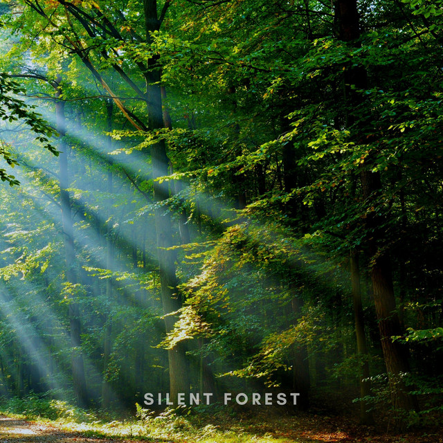 Silent Forest cover art