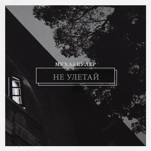 Не улетай cover