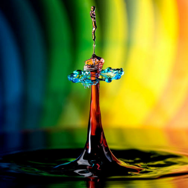 Drip cover art