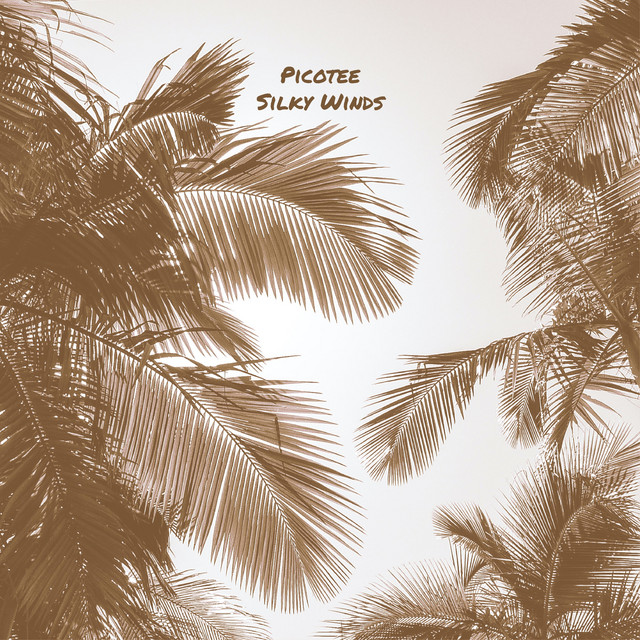 Silky Winds cover art
